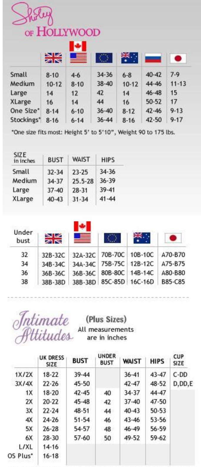 SHIRLEY OF HOLLYWOOD Lace Point D Espirit Mesh Gartered Chemise & G-String | 2XL