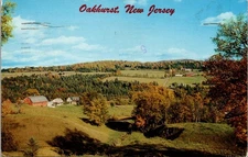 Scenic View, Oakhurst NJ c1972 Vintage Postcard X25
