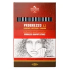 KOH-I-NOOR PROGRESSO WOODLESS GRAPHITE PENCILS - AQUARELL - 12 BOXED - 4B