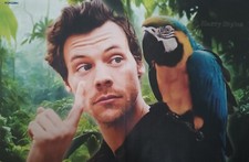 HARRY STYLES - A3 Poster (42x28cm) - Star Clippings Fan Sammlung Plakat NEU