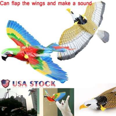 Interactive Simulation Bird Cat Toy Flying Eagle Electric Manual Hanging Scratch