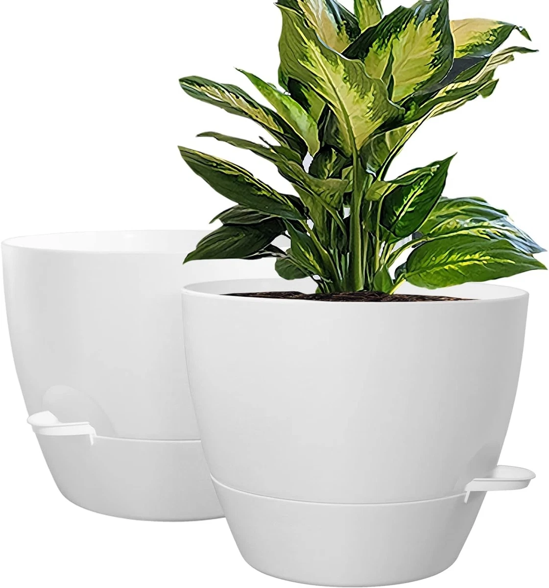 Large Flower Pots for sale - eBay