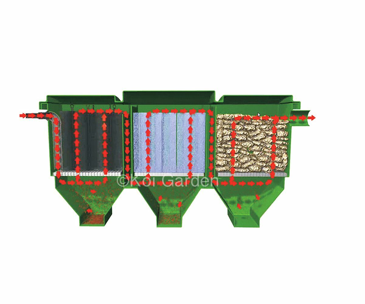 Set Filtri Biologici Per Laghetto - 3 Conchiglie E 3 Lumache Contro Alghe, Naturale Ed Efficace - Foto 13