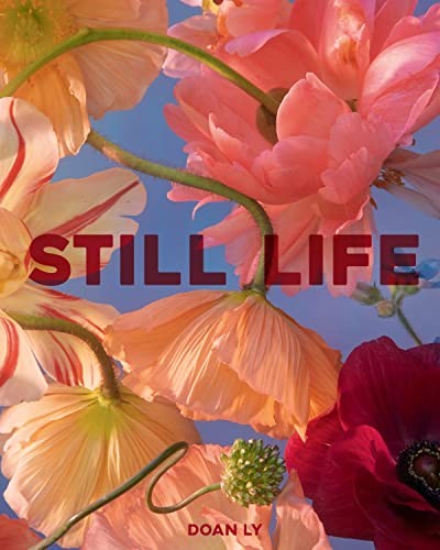 Still Life by Doan Ly (Hardback Book) - Image 8