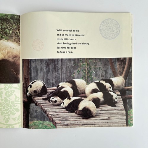 Panda Kindergarten book by Joanne Ryder (Paperback) - Picture 5 of 6