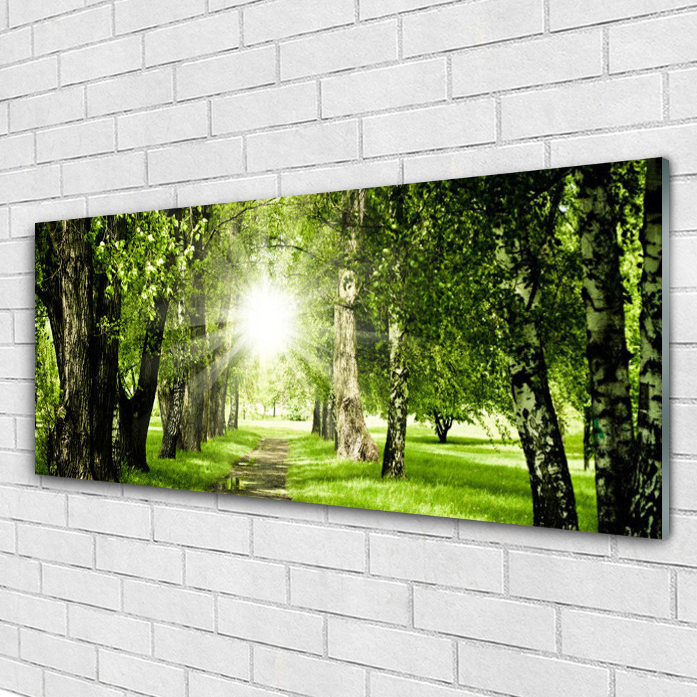 Tableau plexiglas forêt et sentier ensoleillé 125x50 cm pour salon