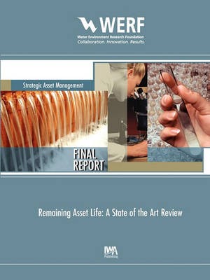 Remaining Asset Life, David Marlow,  Paperback