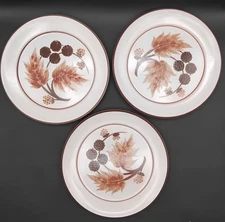 Set of 3  Denby Cotswold Langley Dinner Plates 9.5" – England Stoneware