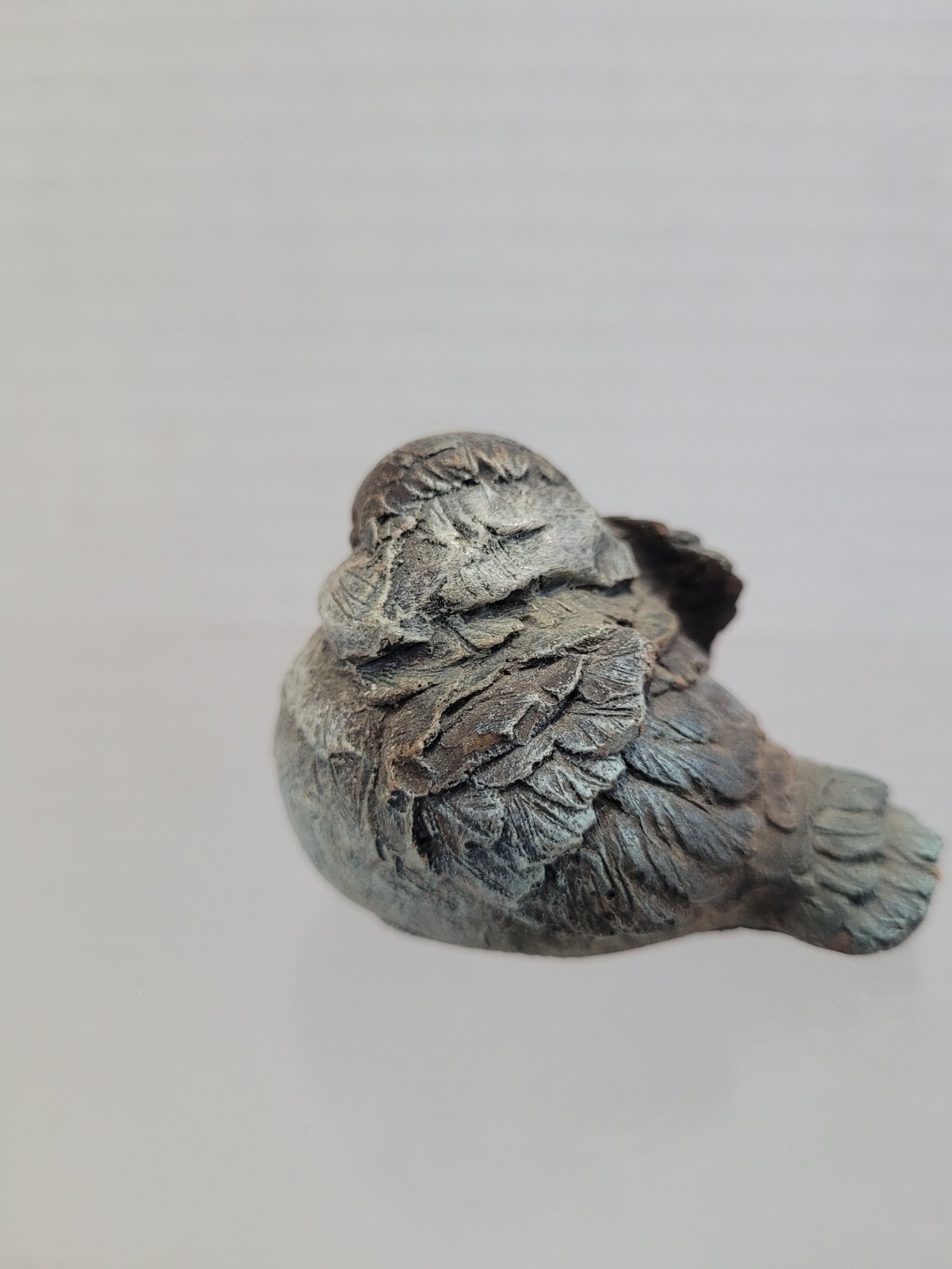 Small Bird Nesting With Closed Eyes 