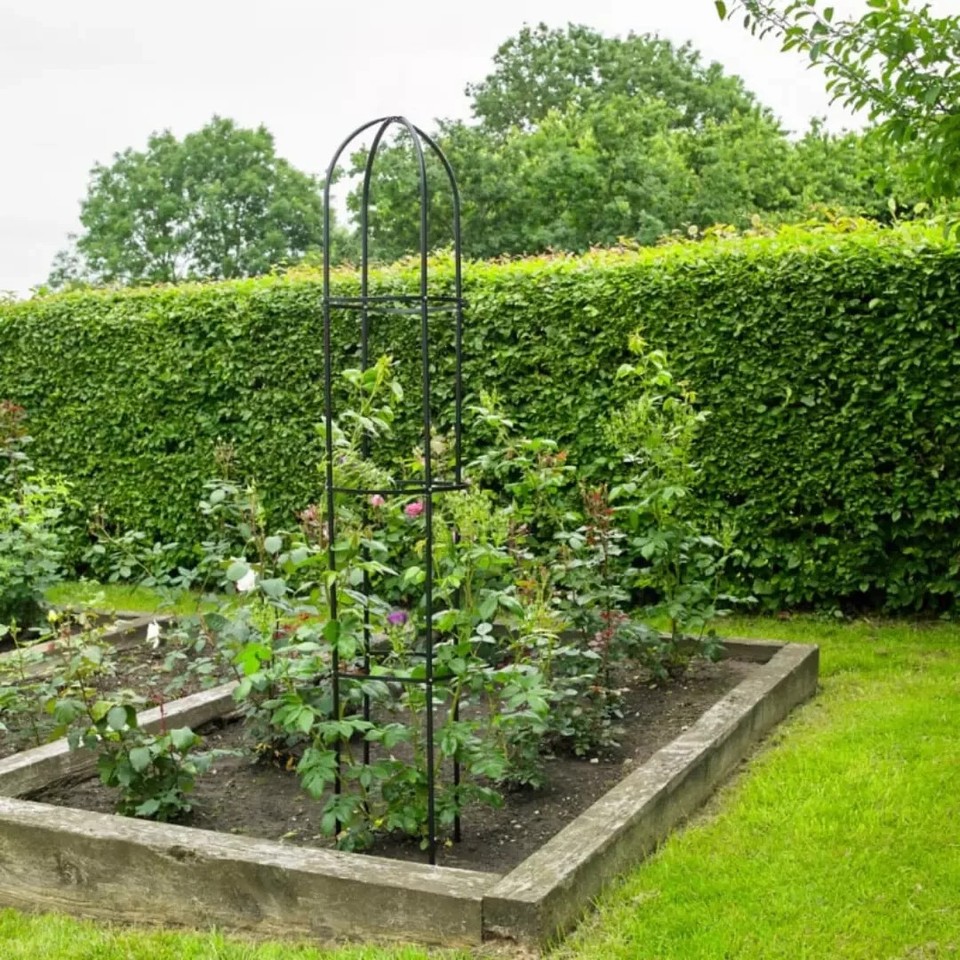 1.9M Garden Arch Trellis Obelisk Metal Tubular Frame Climbing Plant ...