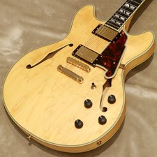 D'Angelico Deluxe Dc Satin Honey Webshop Stock Safe delivery from Japan