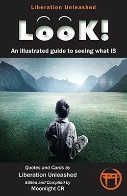 Look!- An Illustrated Guide to Seeing What Is Buch Serenity Publishers, LLC