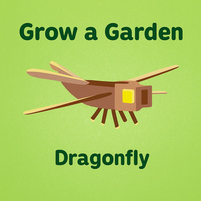Dragonfly   | Grow A Garden   | Delivery on the same Day  