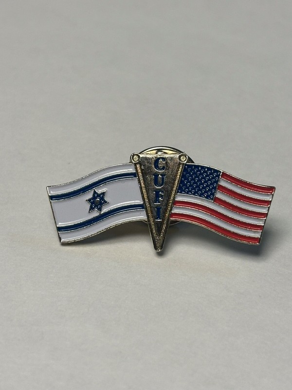 CUFI Christians United for Israel USA Friendship Flag Lapel Hat  Bag Pin