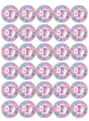 30x 1st Geburtstag Mädchen Cupcake Toppers Essbare Backoblate Fairy Kuchen - Bild 1 von 2