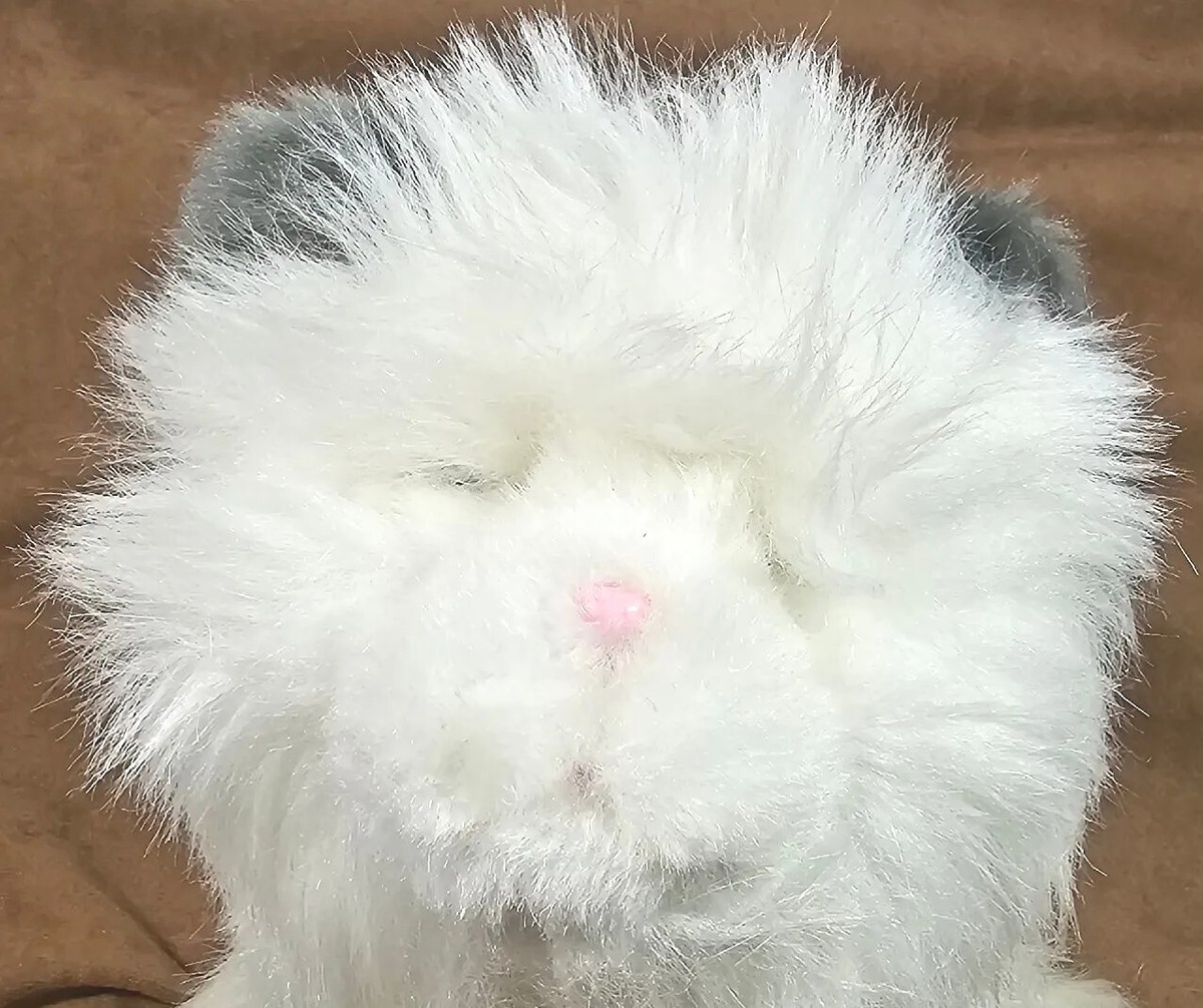 Little Live Pets Cuddles Dream White Kitten Cat Interactive Plush