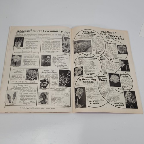 Vintage Kellogg's Garden Book 1933 Color Catalog Flower Strawberry - Picture 7 of 8