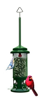 Squirrel Buster Standard Squirrel-proof Bird Feeder w/4 Metal Perches, 1.3-po...