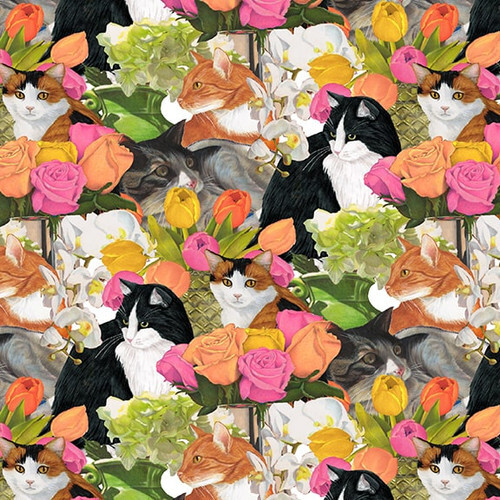 SCHNURRHAARE UNTER BLÜTENBLÄTTERN VERPACKT KATZEN IN ROSEN VON LEEREM KÄTZCHEN HAUSTIERSTOFF HALBES JAHR - Bild 2 von 7
