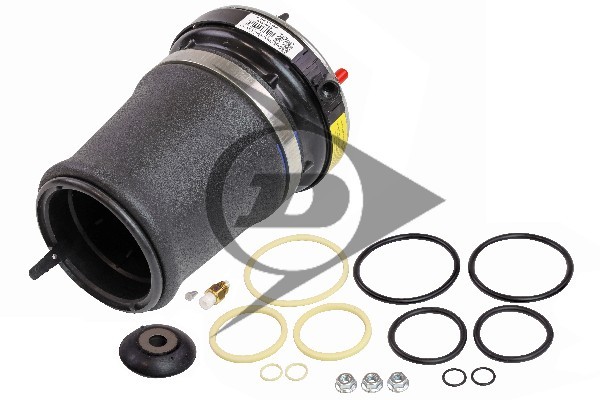Luftfeder Federbein StossdÄMpfer Vorderachse Links FÜR BMW X5 (E53) - AIC 71094-image