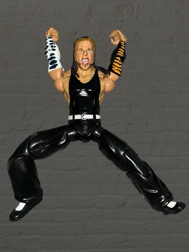 Figura de acción de lucha libre Jeff Hardy 2005 7,25" WWE Jakks Pacific piernas sueltas - Imagen 4 de 5