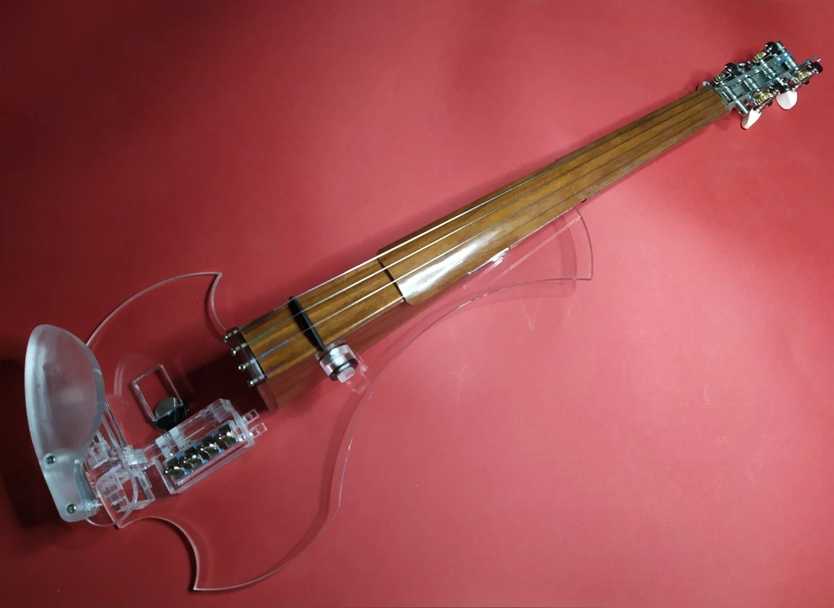 New EQUESTER Gamma rosewood acrylic electric violin HANDMADE LEDs