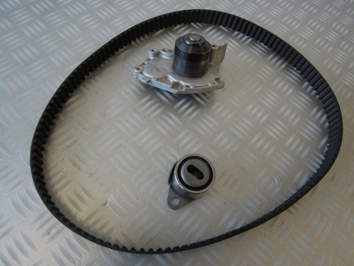 CONTI Zahnriemen Spannrolle Wasserpumpe 1.9 dCi ca.3tkm. Renault Scenic 2 II JM