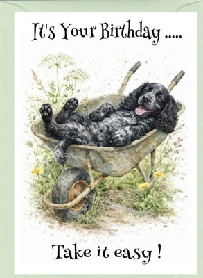 Cocker Spaniel Blue Roan Hund Geburtstagskarte (4''x 6'') innen leer - von Starprint