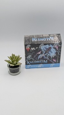 Magic The Gathering Kaldheim Collector Booster BOX Italienisch