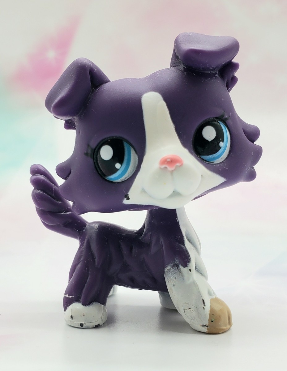 Littlest Pet Shop Authentic # 1676 Purple White Collie Blue Eyes