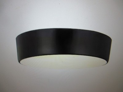 Z-Lite Harley 16 in. 3-Light Matte Black Flush Mount 2302F3-MB