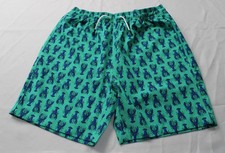 Crewcuts Swimwear Boys' Compression-Lined Swim Trunk WR4 Bright Patina Size 14