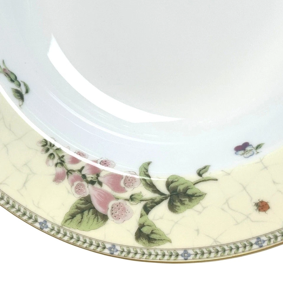 Cuencos de sopa/pasta de borde grande Wedgwood Vintage 1997 "Fleur" 9" - Excelente - Juego de 6 Foto 3 de 4