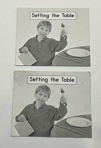 Level A 11 Books Fountas and Pinnell Leveled Literacy Intervention Readers LLI - Picture 21 of 22