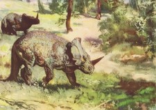 USA & Canada Prehistoric Dinosaurs MONOCLONIUS Print By Z Burian 1963 VF 9x13"