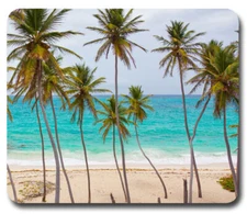 Scenic Beach Palm Trees Tropical Paradise ~ Mouse Pad / Mousepad ~ Great Gift!