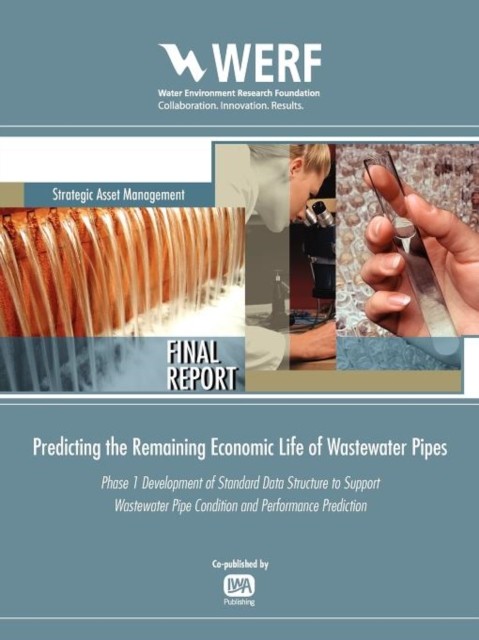 Predicting The Remaining Economic Life O