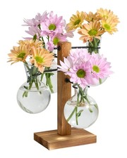 Plant Propagation Stations with Wood Stand, 4 Vases Bulb Shape