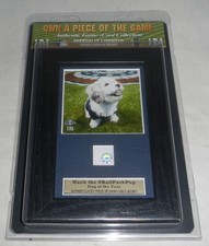 Milwaukee Brewers MLB Baseball Hank the Ballpark Pup Dog Mascot Game Used Jersey