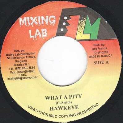 Hawkeye  - What A Pity (7'')