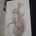 Bild 8 von 10
