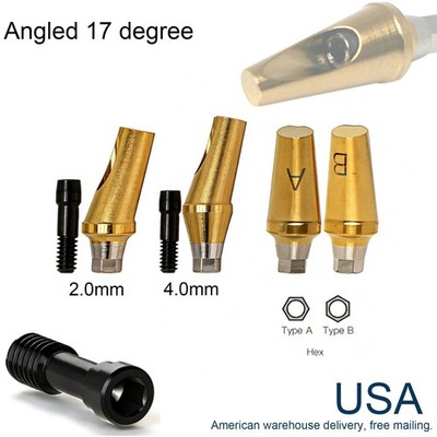 US Ti Dental Angled Abutment 17° Hex fits HIOSSEN DIO DFII Neo Biotech Implants