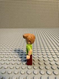 LEGO Scooby-Doo Shaggy Rogers Minifigure scd001 From Sets 75900 75901 71206