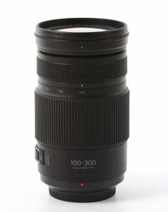 Panasonic Lumix G Vario 100-300mm f/4-5.6 II POWER O.I.S. Lens