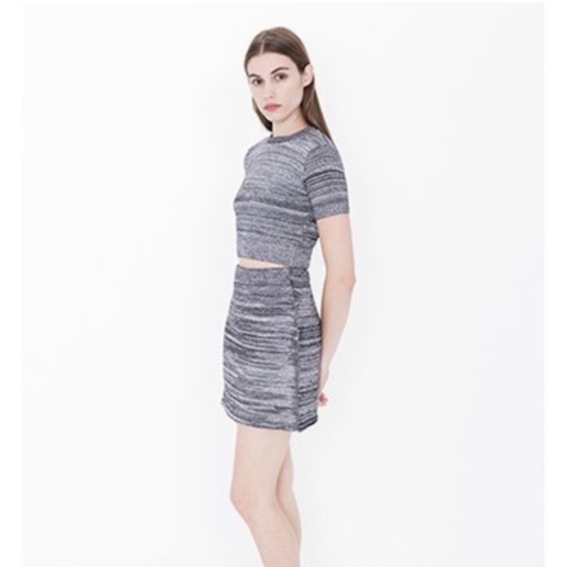 American Apparel Sweater Cropped Top Knit Set in Static S Gray A Line Skirt American Apparel Sweater Cropped Top Knit Set in Static S Gray A Line Skirt