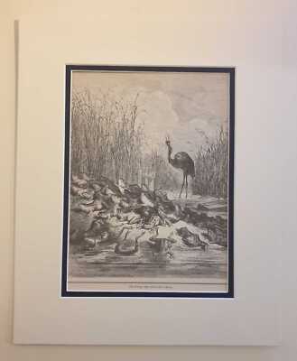 DORE The Frogs Who Asked for a King (1984 Fables Print Reproduction)