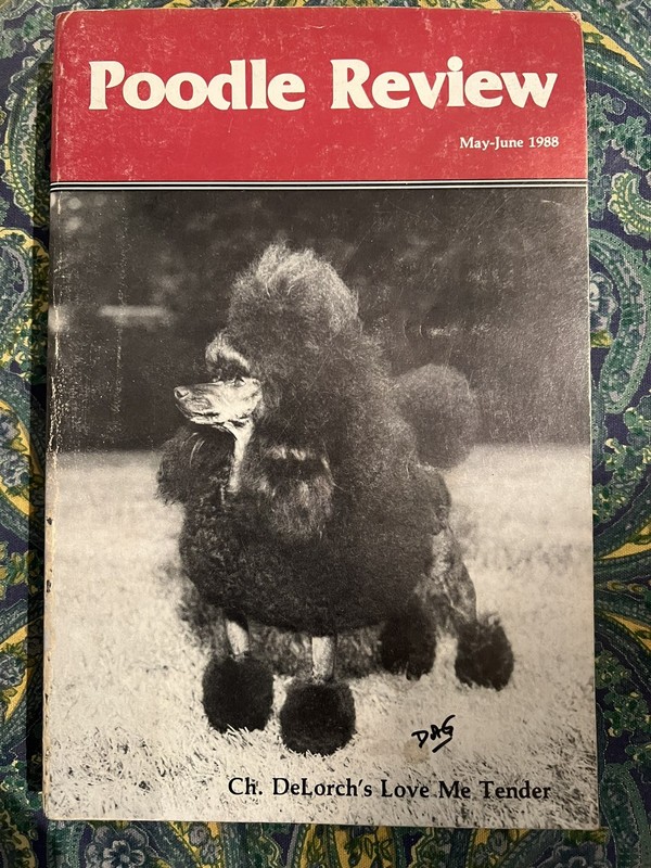POODLE REVIEW Magazine #32 Stud Issue 1988