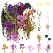 Real Dried Pressed Leaf Flowers-Multiple Colorful Pressed Flowers Daisies