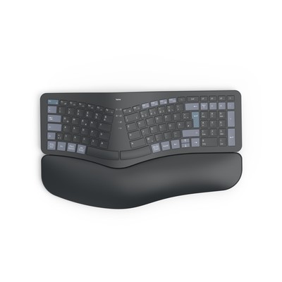 Hama Funk / Bluetooth Tastatur Keyboard DE QWERTZ USB kabellos Handballenauflage