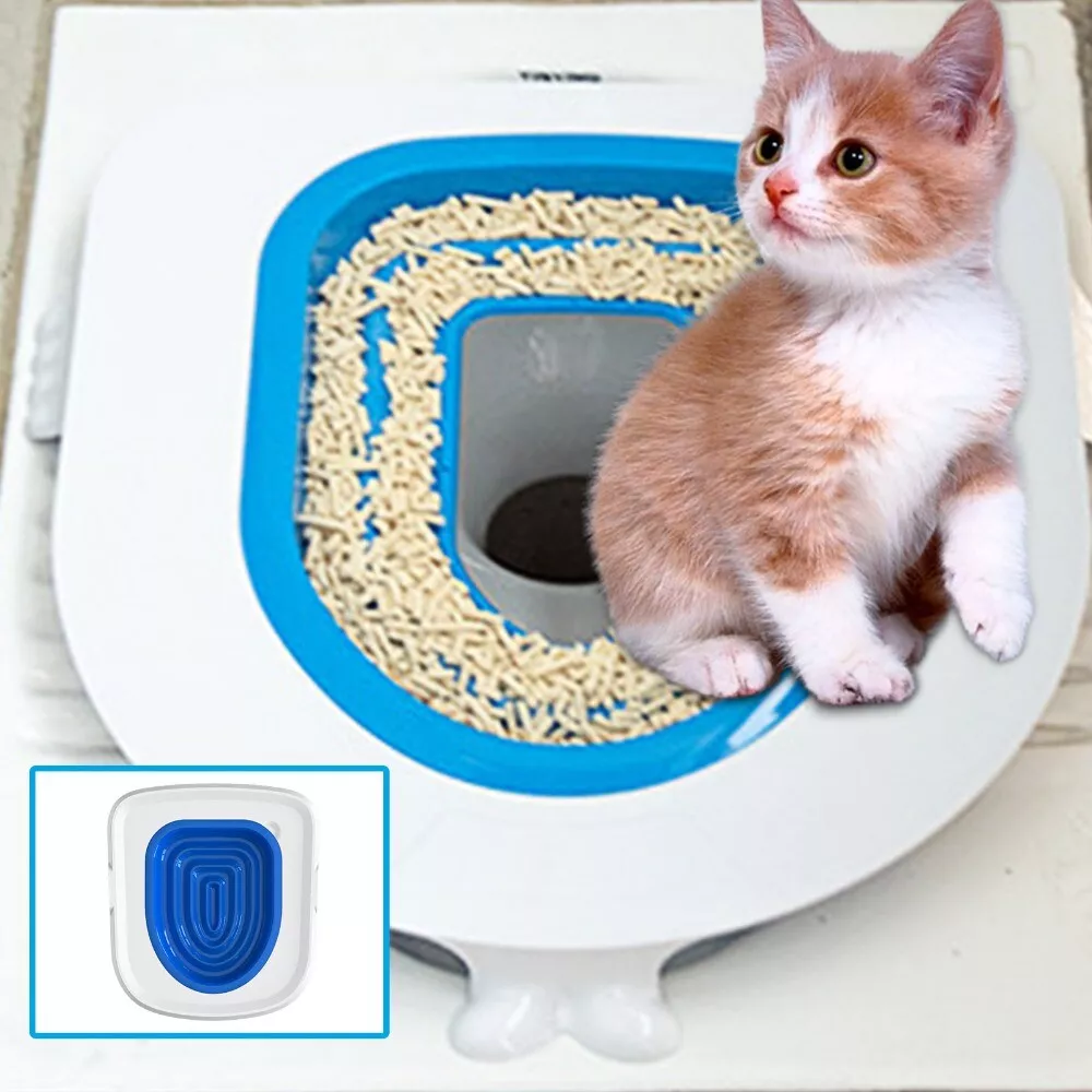 Toilet training your best sale cat
